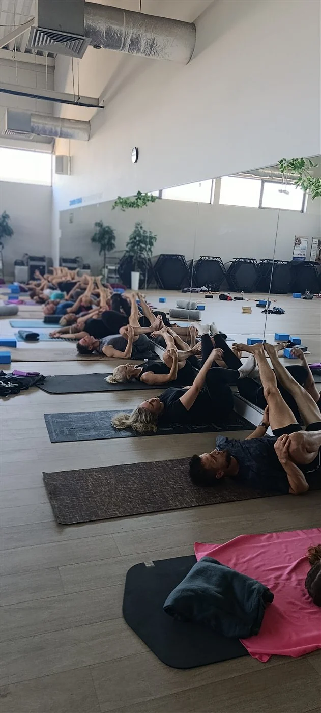 Zajęcia Joga z Olą w Well Fitness w Czeladzi
